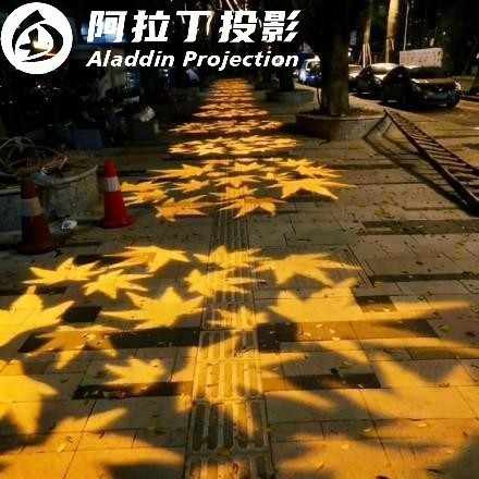 枫叶亮化效果图