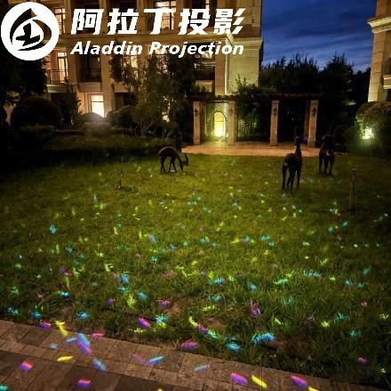 激光萤火虫效果图